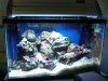 IMG00098-20100212-1234.jpg