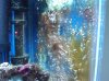 IMG00102-20100212-1238.jpg