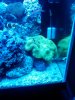 IMG00100-20100213-1901.jpg