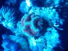 IMG00103-20100214-1325.jpg