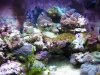 fts.JPG