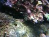 IMG_0758.jpg