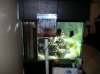 DSCN2331.jpg