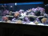 PICT0039.JPG