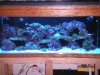 PICT0085.JPG