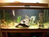 New Sand & Aquascaping.jpg