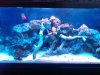 IMG00091-20100216-1353.jpg
