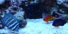 DSC03100.JPG