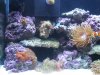 IMG_0339.JPG