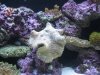 IMG_0342.JPG