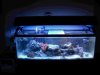 55gal_001.jpg