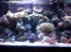 IMG00060-20100218-1640.jpg