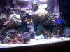 IMG00061-20100218-1640.jpg