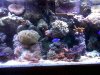 IMG00062-20100218-1641.jpg