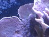 IMG_7902.jpg