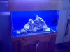 IMG00024-20100219-1042.jpg