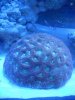 55gal_004.jpg