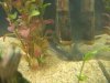 Spot & Draco.jpg