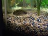 Spot B4 Substrate Change.jpg