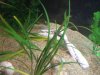 Spot Hiding 2.jpg
