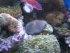 IMG_5206.jpg