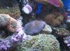 IMG_5207.jpg