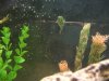 Spot & His Bubbles.jpg
