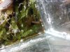 downsized_0221001149a.jpg