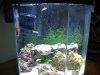 DSC02742.jpg