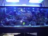 DSC02749.jpg