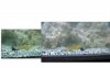 watchman  goby.jpg