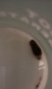 IMAG0045.jpg