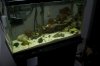 dsc02440a.jpg