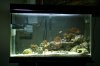 dsc02434a.jpg