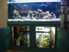 sump under tank.JPG