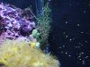 DSC02858.jpg