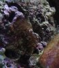 DSC02852.jpg