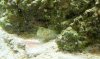 DSCN2355.jpg