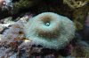 DSC01173.jpg
