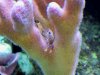 000_0753.jpg