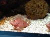 IMG_0349.JPG