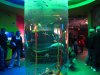 IMG_0361.JPG