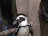IMG_0415.JPG