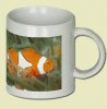 Clownfish-2431.jpg