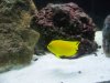 100_0672.jpg