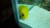 100_0008.jpg