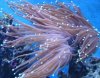 DSC02562.jpg