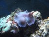 DSCF0352.JPG