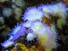 DSCF4338.jpg