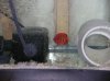 DSCN2379.jpg